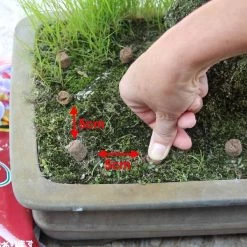 Hanagokoro Bonsai Dünger 3.0kg 7 Hanagokoro Bonsai Dünger 3.0kg -Empfohlener Shop für Topfpflanzen d2han30003