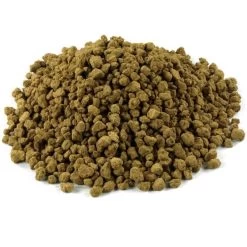 Empfohlener Shop für Topfpflanzen -Empfohlener Shop für Topfpflanzen de aka14 d3