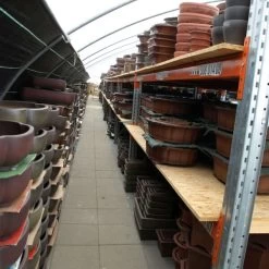 Bonsaischale 33x25.5x5.5cm Antik-Braun Oval Unglasiert 15 Bonsaischale 33x25.5x5.5cm Antik-Braun Oval Unglasiert -Empfohlener Shop für Topfpflanzen h33 442 ab7