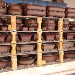 Bonsaischale 56x45.5x15cm Antik-Braun Oval Unglasiert -Empfohlener Shop für Topfpflanzen h56 426 ab5