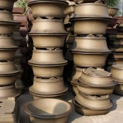 Bonsaischale 57x46x15cm Antik-Grau Rechteckig Unglasiert -Empfohlener Shop für Topfpflanzen h57 197 ag6