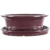Bonsaischale Mit Untersetzer 25x20.5x8cm Weinrot Oval Glasiert -Empfohlener Shop für Topfpflanzen n25 303 wr