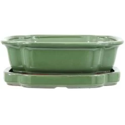 Bonsaischale Mit Untersetzer 25x20x8cm Hellgrün Sonstige Form Glasiert