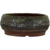 Bonsaischale 15.5x15.5x6cm Dunkelgrün Rund Glasiert 2 Bonsaischale 15.5x15.5x6cm Dunkelgrün Rund Glasiert -Empfohlener Shop für Topfpflanzen p16ru23041a