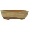 Bonsaischale 20x20x5.5cm Gelbbraun Rund Glasiert 2 Bonsaischale 20x20x5.5cm Gelbbraun Rund Glasiert -Empfohlener Shop für Topfpflanzen p20ru23068a