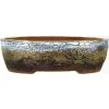 Bonsaischale 22.5x18x6.5cm Dunkelbraun Oval Glasiert -Empfohlener Shop für Topfpflanzen p23ov23028a