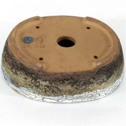 Bonsaischale 22.5x18x6.5cm Dunkelbraun Oval Glasiert -Empfohlener Shop für Topfpflanzen p23ov23028a3