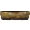 Bonsaischale 25.5x20x7cm Ocker Oval Glasiert 2 Bonsaischale 25.5x20x7cm Ocker Oval Glasiert -Empfohlener Shop für Topfpflanzen p26ov23001a