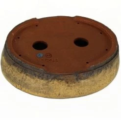 Bonsaischale 25.5x20x7cm Ocker Oval Glasiert -Empfohlener Shop für Topfpflanzen p26ov23001a3