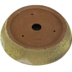Bonsaischale 30x30x6cm Oliv Rund Unglasiert -Empfohlener Shop für Topfpflanzen p30ru x0383