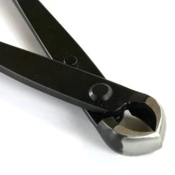 Knospenzange 18cm Solide Schwarz Geschliffen -Empfohlener Shop für Topfpflanzen wz r aq2 g4