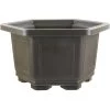 Bonsaischale 33.6x33.6x20.3cm Dunkelbraun Sechseckig Kunststoff -Empfohlener Shop für Topfpflanzen z ps h34 db