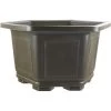 Bonsaischale 41.5x41.3x25cm Dunkelbraun Sechseckig Kunststoff -Empfohlener Shop für Topfpflanzen z ps h42 db